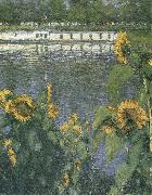 Gustave Caillebotte The sunflowers of waterside Sweden oil painting artist